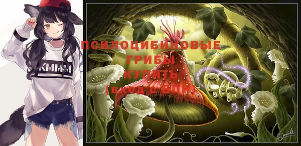 гидропоника Пересвет