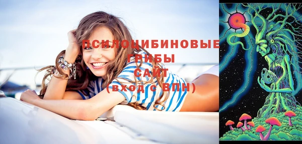 гидропоника Пересвет