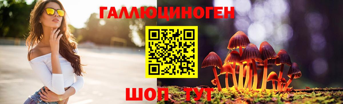 купить наркотики сайты  Великие Луки  Псилоцибиновые грибы MAGIC MUSHROOMS  Псилоцибиновые грибы Psilocybe 