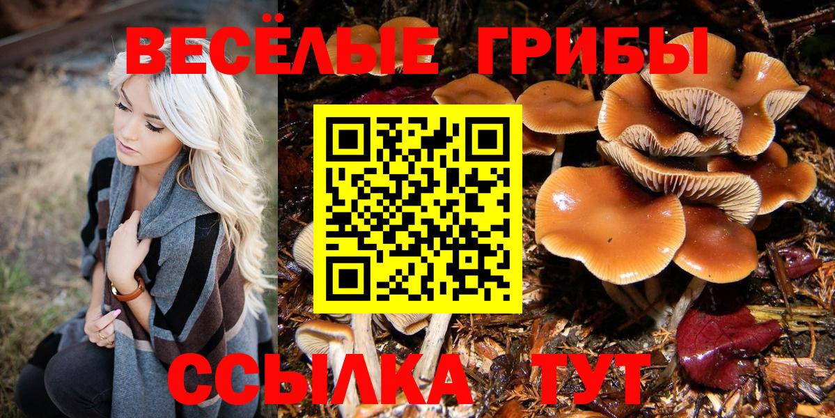 Псилоцибиновые грибы GOLDEN TEACHER  Вход с VPN  Псилоцибиновые грибы прущие грибы  Великие Луки 